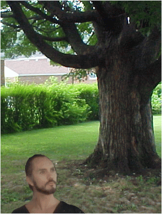 I found your pathetic egg hidden behind the tree with my x-ray vision!