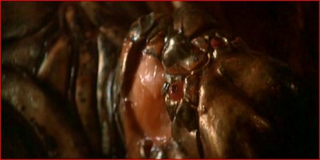 A baby with a hard candy shell!