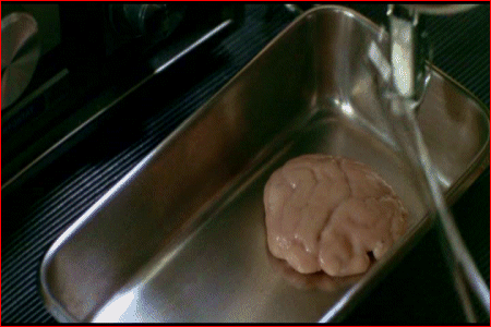 Care for some chilled monkey brains, Dr. Jones?