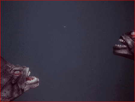 Why did the piranha cross the road? TO EAT YOUR FACE! lol
