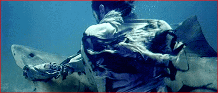 Zombie vs. Shark!