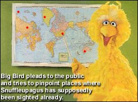 Big Bird pleads to the public