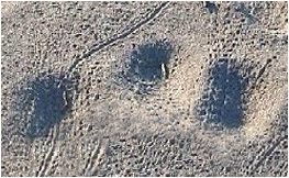 FOOTPRINTS! :O