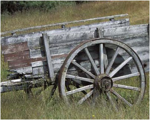 WAGON! :O