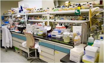 Most labs are even messier than this. Especially meth labs.