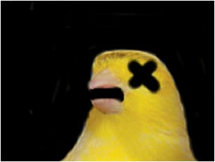 POOR LIL' PEEP :(