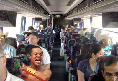WHAT A MAGICAL BUS RIDE!