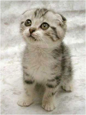 AWWWWW!!!!