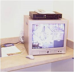 Yep, that's a monitor alright.
