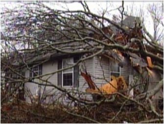 The trees are angry that you chopped them down to build houses!