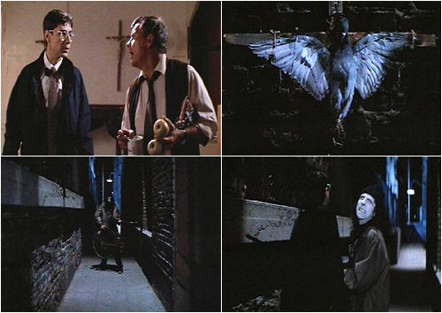 CRUCIFIED PIGEONS! ALWAYS A GOOD SIGN!