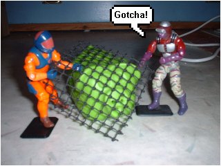 Captured by Cobra!