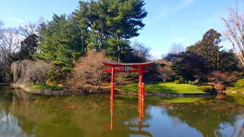 The torii gateway across the pond.