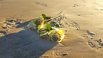 Flowers washed ashore, perhaps from a wedding, or from somebody else mourning the loss of a loved one.