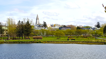 A shot of Re's tree from across the lake with Hallgrimskirkja - Reykjavik's most famous cathedral with a viking sculpture out front – in the background