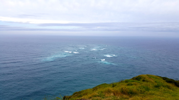 This is the exact spot where the Tasman Sea meets with the Pacific Ocean.