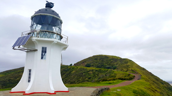 The Cape Reinga Lighthouse with Re's pohutukawa tree in the background.