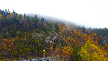 Stopping to look at the fog coming over the treeline on Route 17.