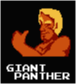 The biggest panther I've ever seen.
