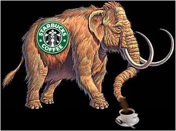 Starbucks' Woolly Mammoth 5000