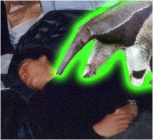 If it were an anteater...